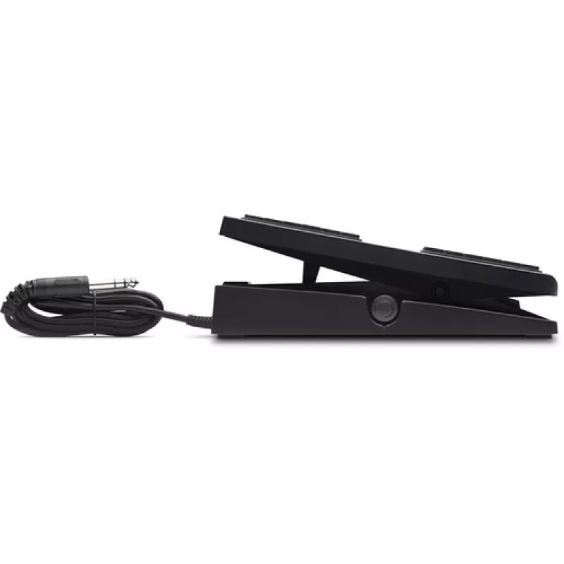AKAI Professional EXP PEDAL