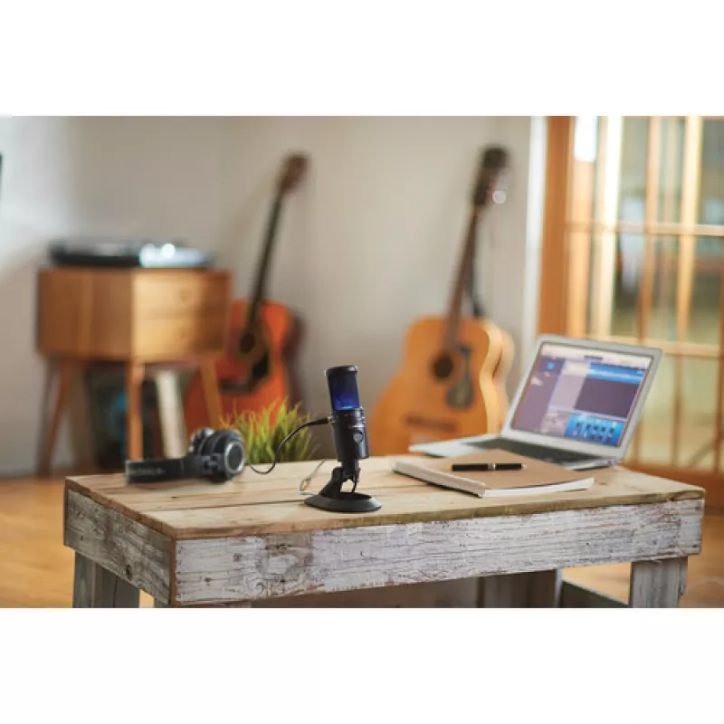 Audio-Technica AT2020 USB-X