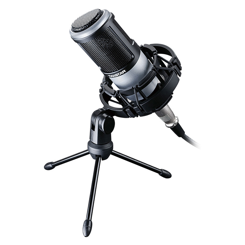 Takstar PC-K320 Silver